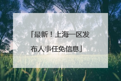 最新！上海一区发布人事任免信息