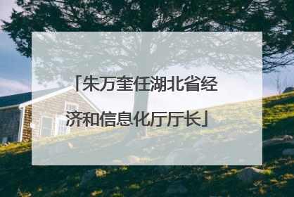 朱万奎任湖北省经济和信息化厅厅长