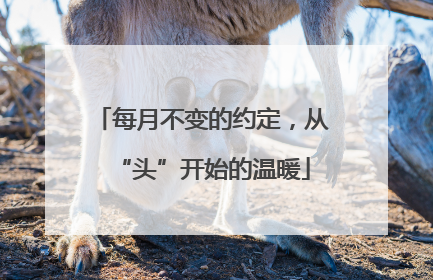 每月不变的约定，从“头”开始的温暖