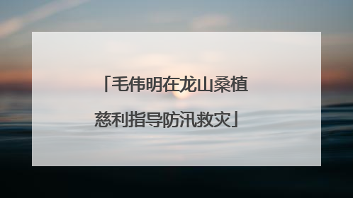 毛伟明在龙山桑植慈利指导防汛救灾