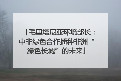 毛里塔尼亚环境部长：中非绿色合作播种非洲“绿色长城”的未来