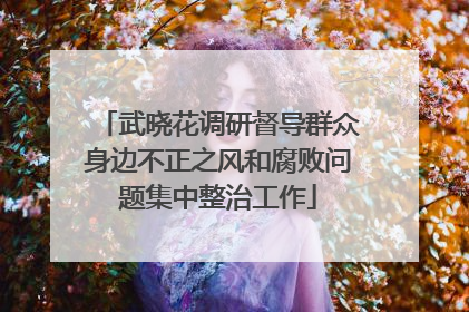 武晓花调研督导群众身边不正之风和腐败问题集中整治工作