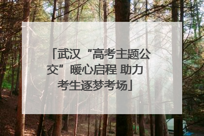 武汉“高考主题公交”暖心启程 助力考生逐梦考场