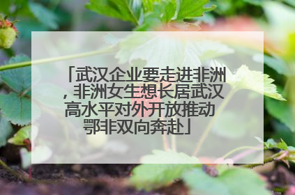 武汉企业要走进非洲，非洲女生想长居武汉 高水平对外开放推动鄂非双向奔赴