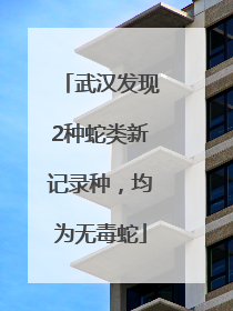 武汉发现2种蛇类新记录种，均为无毒蛇