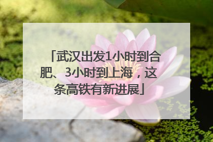 武汉出发1小时到合肥、3小时到上海，这条高铁有新进展
