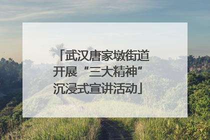 武汉唐家墩街道开展“三大精神”沉浸式宣讲活动