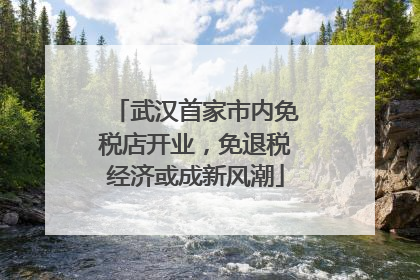 武汉首家市内免税店开业，免退税经济或成新风潮