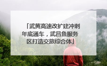武黄高速改扩建冲刺年底通车，武昌鱼服务区打造交旅综合体