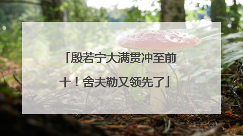 殷若宁大满贯冲至前十！舍夫勒又领先了