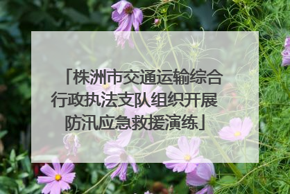 株洲市交通运输综合行政执法支队组织开展防汛应急救援演练