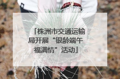 株洲市交通运输局开展“银龄端午福满情”活动