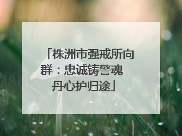 株洲市强戒所向群：忠诚铸警魂 丹心护归途