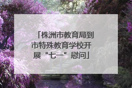 株洲市教育局到市特殊教育学校开展“七一”慰问