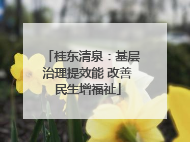 桂东清泉：基层治理提效能 改善民生增福祉