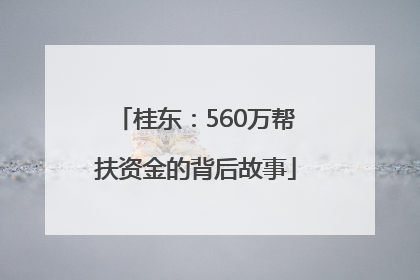 桂东：560万帮扶资金的背后故事