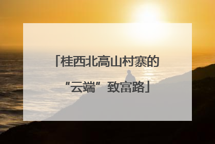 桂西北高山村寨的“云端”致富路