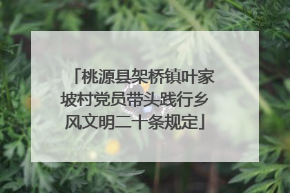 桃源县架桥镇叶家坡村党员带头践行乡风文明二十条规定