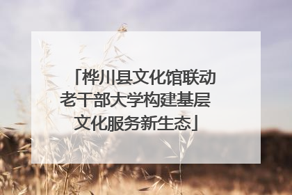桦川县文化馆联动老干部大学构建基层文化服务新生态
