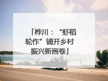 桦川：“虾稻轮作”铺开乡村振兴新画卷