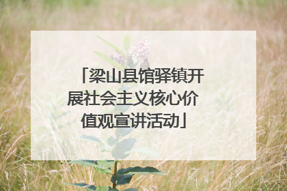 梁山县馆驿镇开展社会主义核心价值观宣讲活动