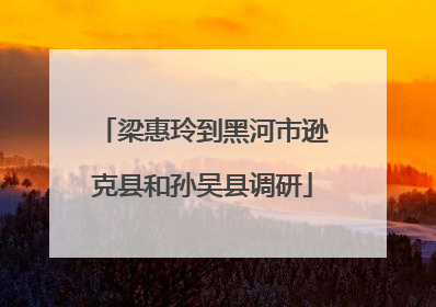 梁惠玲到黑河市逊克县和孙吴县调研