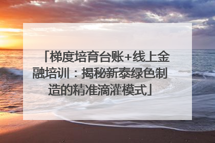 梯度培育台账+线上金融培训：揭秘新泰绿色制造的精准滴灌模式