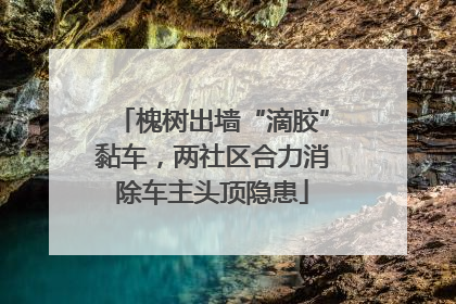 槐树出墙“滴胶”黏车，两社区合力消除车主头顶隐患