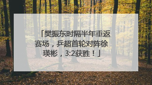 樊振东时隔半年重返赛场，乒超首轮对阵徐瑛彬，3:2获胜！