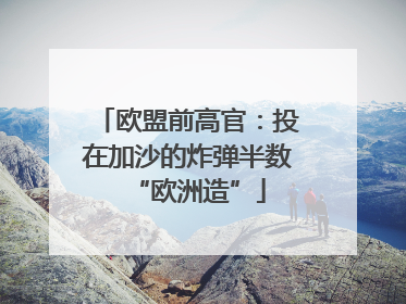 欧盟前高官：投在加沙的炸弹半数“欧洲造”