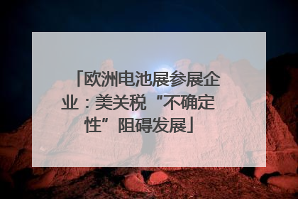 欧洲电池展参展企业：美关税“不确定性”阻碍发展
