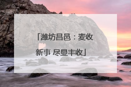 潍坊昌邑：麦收新事 尽显丰收
