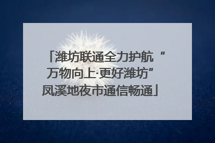 潍坊联通全力护航“万物向上·更好潍坊”凤溪地夜市通信畅通