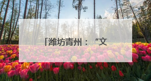 潍坊青州：“文化+”模式引领乡村振兴新路径