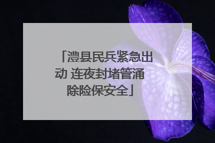 澧县民兵紧急出动 连夜封堵管涌除险保安全