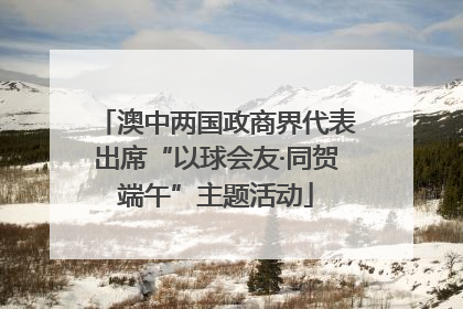 澳中两国政商界代表出席“以球会友·同贺端午”主题活动