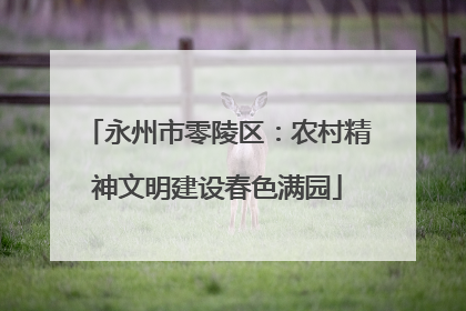 永州市零陵区：农村精神文明建设春色满园