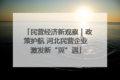 民营经济新观察｜政策护航 河北民营企业激发新“冀”遇