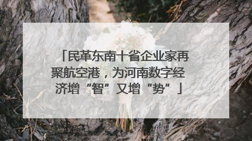 民革东南十省企业家再聚航空港，为河南数字经济增“智”又增“势”