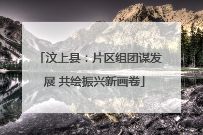汶上县：片区组团谋发展 共绘振兴新画卷