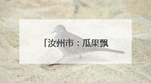 汝州市：瓜果飘香 丰收正当时