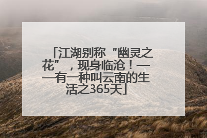 江湖别称“幽灵之花”，现身临沧！——有一种叫云南的生活之365天