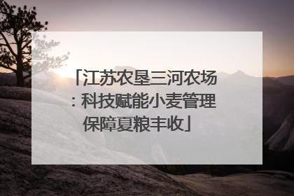 江苏农垦三河农场：科技赋能小麦管理保障夏粮丰收