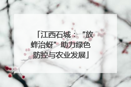 江西石城：“放蜂治蚜”助力绿色防控与农业发展