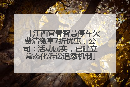 江西宜春智慧停车欠费清缴享7折优惠，公司：活动属实，已建立常态化诉讼追缴机制