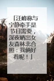 汪峰称与宁静牵手是节目需要，深夜晒出女友森林北合照：我俩好着呢！