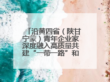 沿黄四省（陕甘宁蒙）青年企业家深度融入高质量共建“一带一路”和西部陆海新通道建设战略合作交流会在甘肃兰州召开