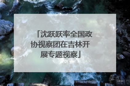 沈跃跃率全国政协视察团在吉林开展专题视察
