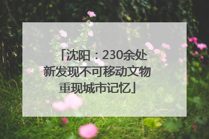 沈阳：230余处新发现不可移动文物重现城市记忆