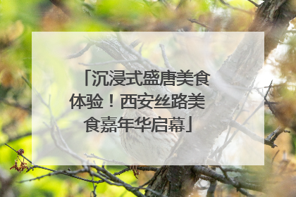 沉浸式盛唐美食体验！西安丝路美食嘉年华启幕